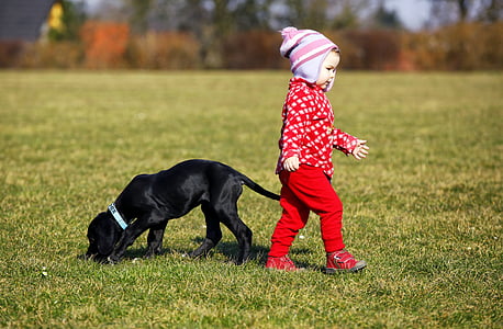 puppy and toddler on green grass field thumbnail