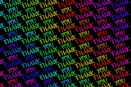 assorted-color thank you print wallpaper thumbnail