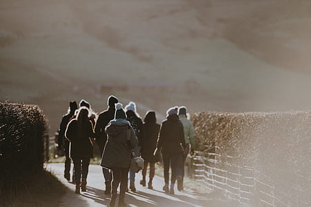people walk between plant wall during daytime thumbnail