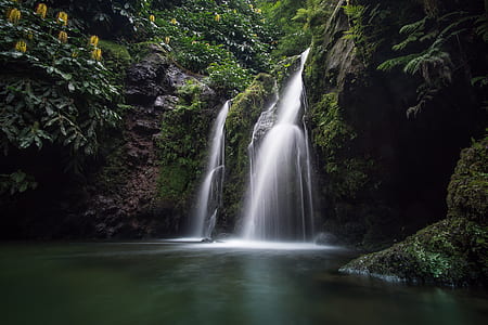 waterfalls along forest at daytime thumbnail
