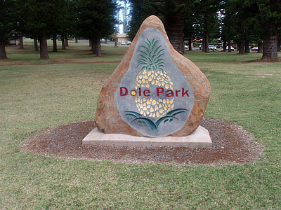 Dole Park Rock Statue in Lanai City, Hawaii thumbnail