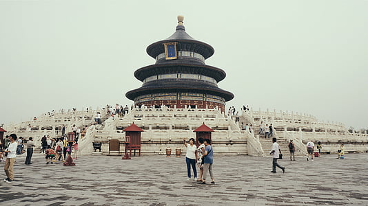 person standing behind of concrete temple thumbnail