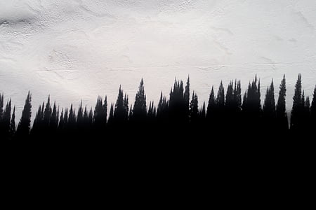 silhouette of pine trees under grey sky thumbnail