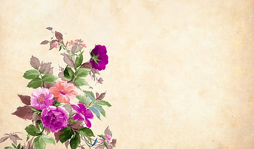 Colorful flowers arranged over blank background. thumbnail