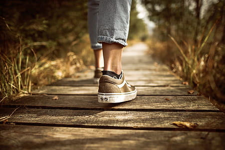 wood, fashion, path, grass thumbnail