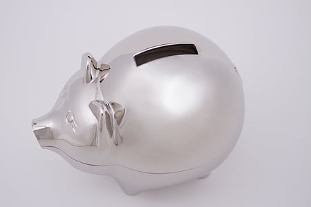 silver-colored piggy bank thumbnail