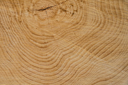 wood, structure, tree, texture, annual rings, grain thumbnail