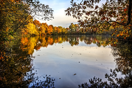 lake surrounded by trees at daytime thumbnail