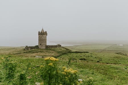 brown castle at green open field at daytime thumbnail