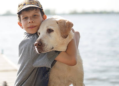 man hugging adult Labrador retriever thumbnail