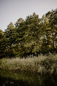 Summer at the lake thumbnail
