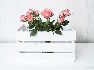pink rose flower bouquet in white wooden crate thumbnail