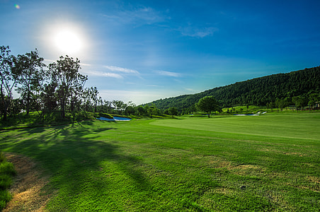 green grass field near trees thumbnail