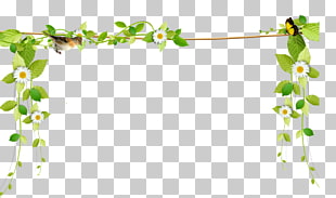 Flower, Beautiful fresh vines border rope, green and white floral wreath PNG clipart