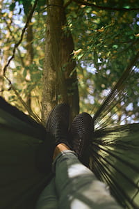 person lying on black hammock tied on tree at daytime thumbnail