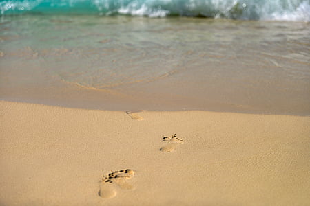 footsteps going through body of water thumbnail
