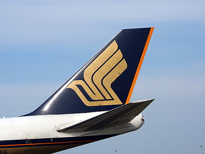airplane wings thumbnail
