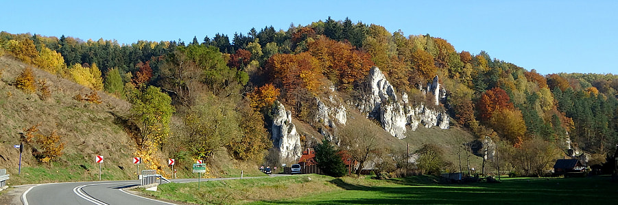 The Founding Fathers, Poland thumbnail