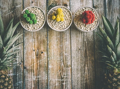 green, yellow, and red potted plants thumbnail