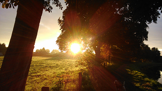silhouette of trees near grass field during sunset thumbnail