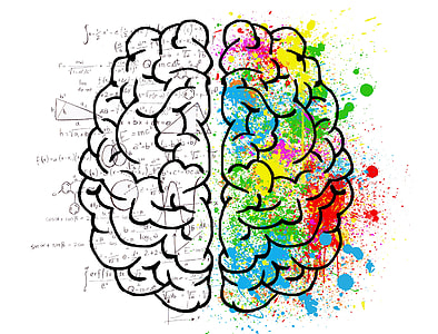 multicolored brain illustration thumbnail
