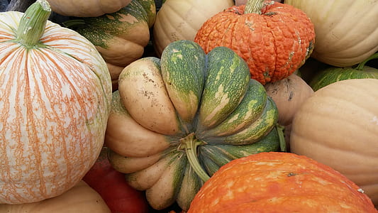 orange and green squash thumbnail