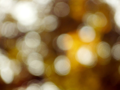 bokeh, autumn, nature, fall, yellow, colorful thumbnail