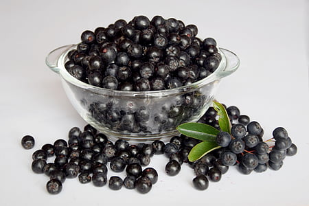 bunch of blueberries in bowl thumbnail