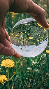 Person Holding Clear Glass Ball thumbnail