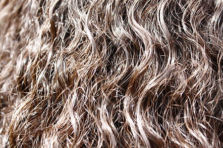 person's brown hair thumbnail