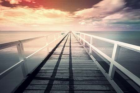 photography of white and gray wooden dock thumbnail