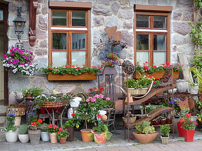 assorted-color-and-type plants planted on assorted-color pots place in front of window at daytime thumbnail
