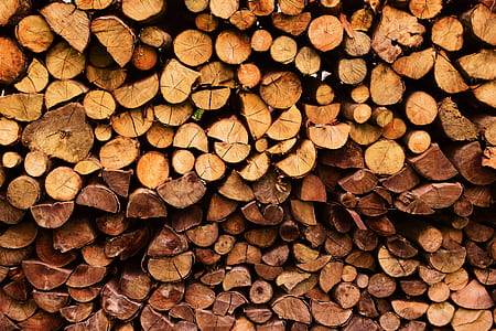brown firewoods thumbnail