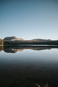Reflection thumbnail