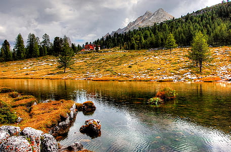 body of water near trees during daytime thumbnail