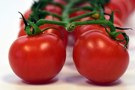tomatoes shallow focus photography thumbnail