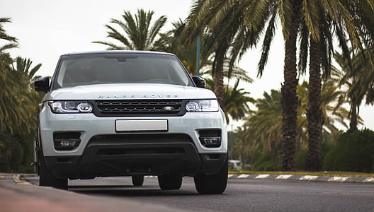 white Range Rover vehicle near green leafed trees thumbnail