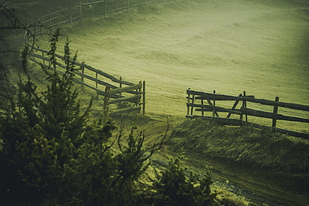 open wooden fence near trees thumbnail