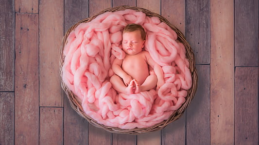 newborn photography of baby in basket with pink linen thumbnail