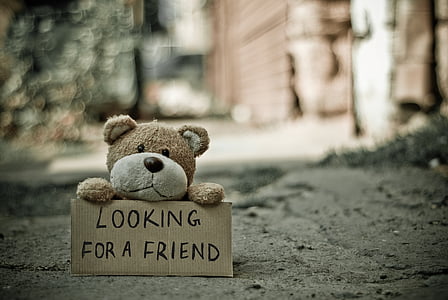 brown plush toy holding looking for a friend signage on road thumbnail