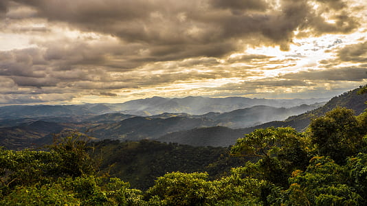 green leaf tree near mountain under white clouds thumbnail