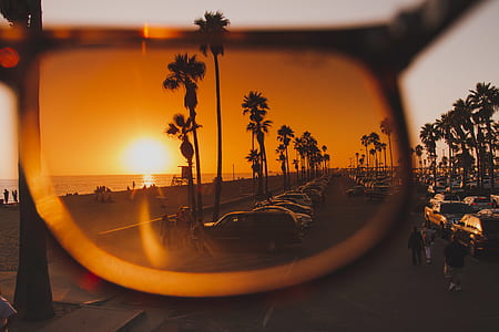 vehicles parked on pavement near palm trees and shore view from sunglasses thumbnail