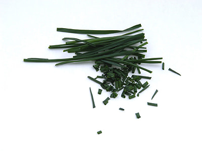 onion springs thumbnail