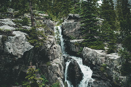 Body of Water Surrounded by Tall Green Trees thumbnail