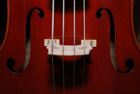 macro photography of f-hole guitar thumbnail