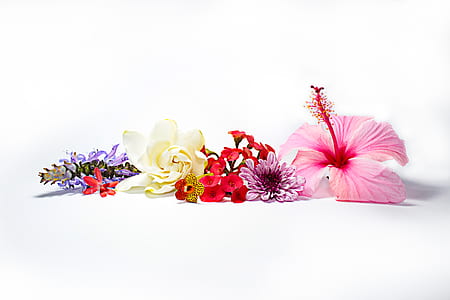 bunch of flowers thumbnail