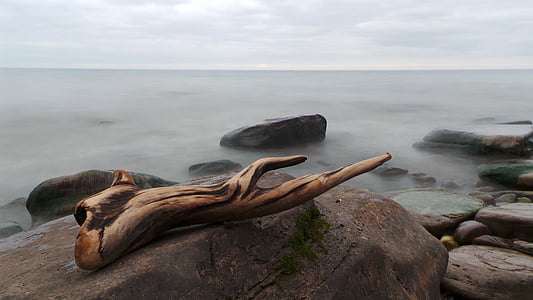 brown driftwood on black stone near body of water thumbnail