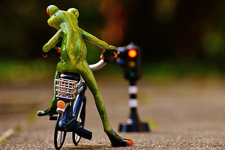 green frog riding bicycle on selective photo thumbnail