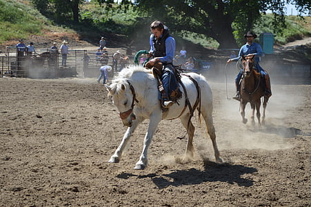 man riding white horse in front of another man riding brown horse inside ranch thumbnail