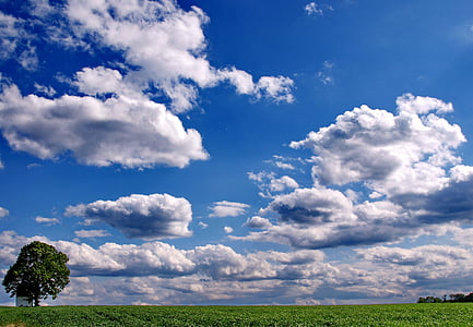 green grass land during daytime thumbnail